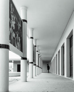 "Expo"