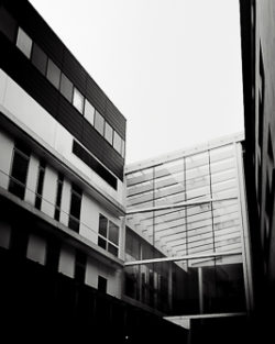 "Lignes / Lines"