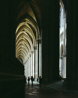 "Ombres / Shadows"