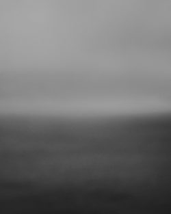 "Fog-1"