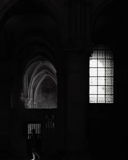 Cathédrale Notre Dame Laon-3